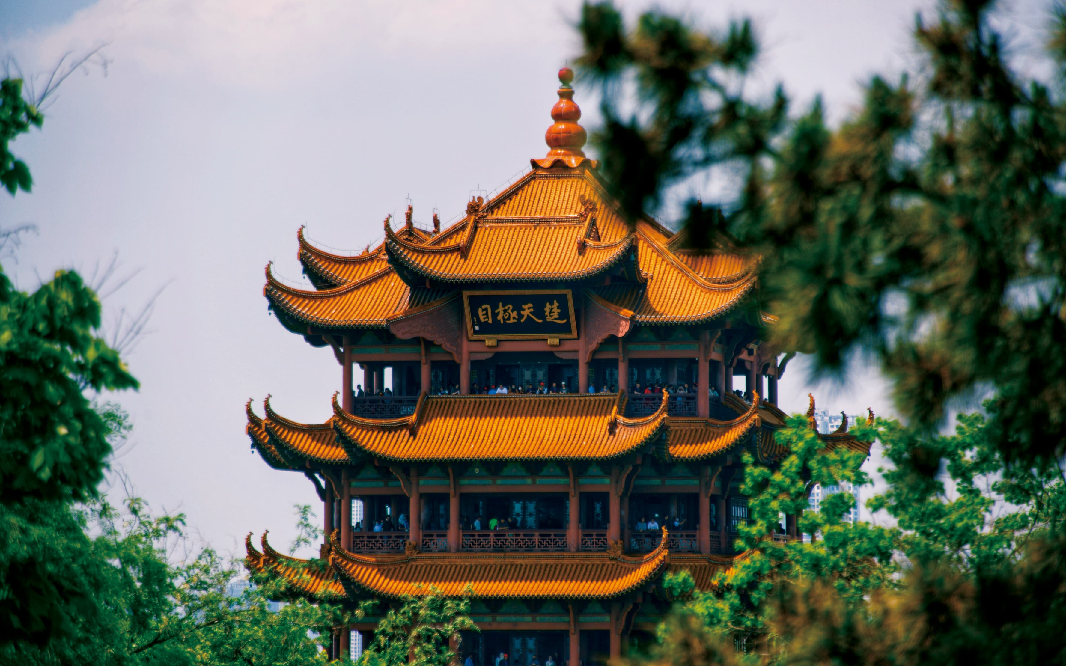 寻楚．湖北　深度游学